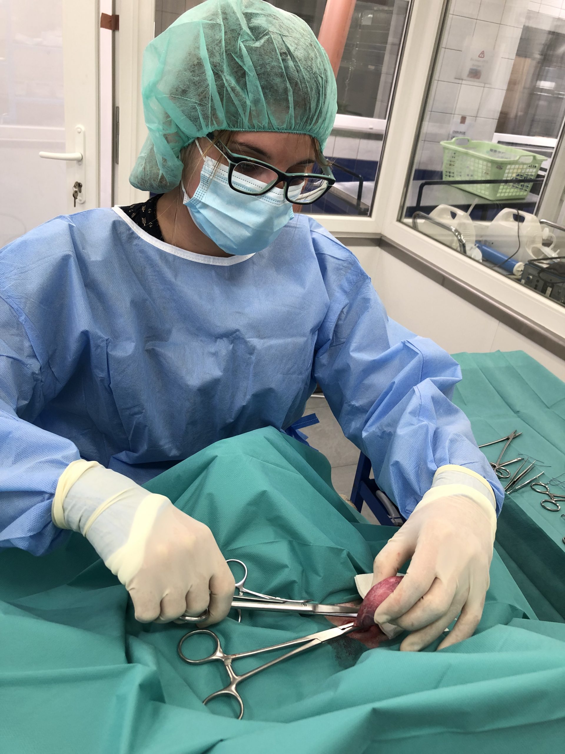 vétérinaire Cindy Semes opération Les-Bons-Villers Rêves